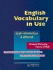 English Vocabulary in Use: Upper-Intermediate (Académique)