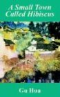 Small Town Called Hibiscus, A