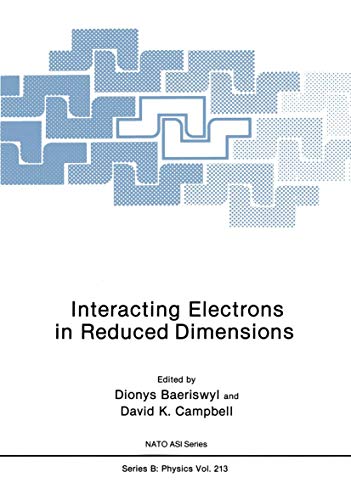 Interacting Electrons in Reduced Dimensions (Nato Science Series B:, 213, Band 213)