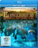 Abenteuer Everglades 3D - Die Manatis des Crystal River (inkl. 2D Version) [3D Blu-ray]