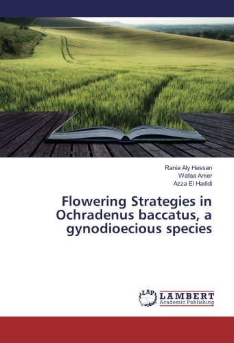 Flowering Strategies in Ochradenus baccatus, a gynodioecious species