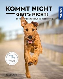 Kommt nicht, gibts nicht: So klappt der Rückruf bei jedem Hund