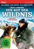 Jack London: Der Ruf der Wildnis (Call of the Wild) / Neuverfilmung von Jack Londons Abenteuerklassiker mit Ricky Schroder (Pidax Film-Klassiker)