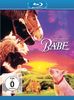 Ein Schweinchen namens Babe [Blu-ray]