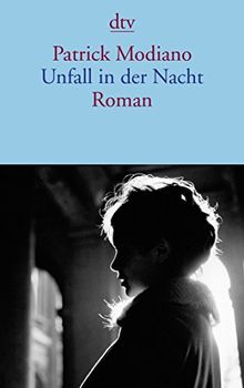 Unfall in der Nacht: Roman