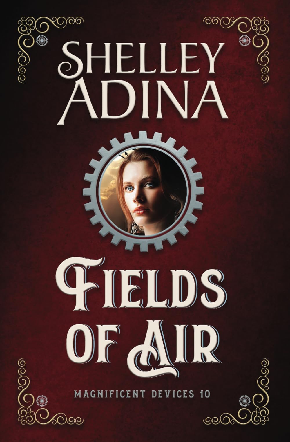 Fields of Air: A steampunk adventure novel (Magnificent Devices, Band 10)