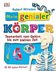 Mein genialer Körper: Teamarbeit vom Gehirn bis zum kleinen Zeh von Winston, Robert | Buch | Zustand akzeptabel