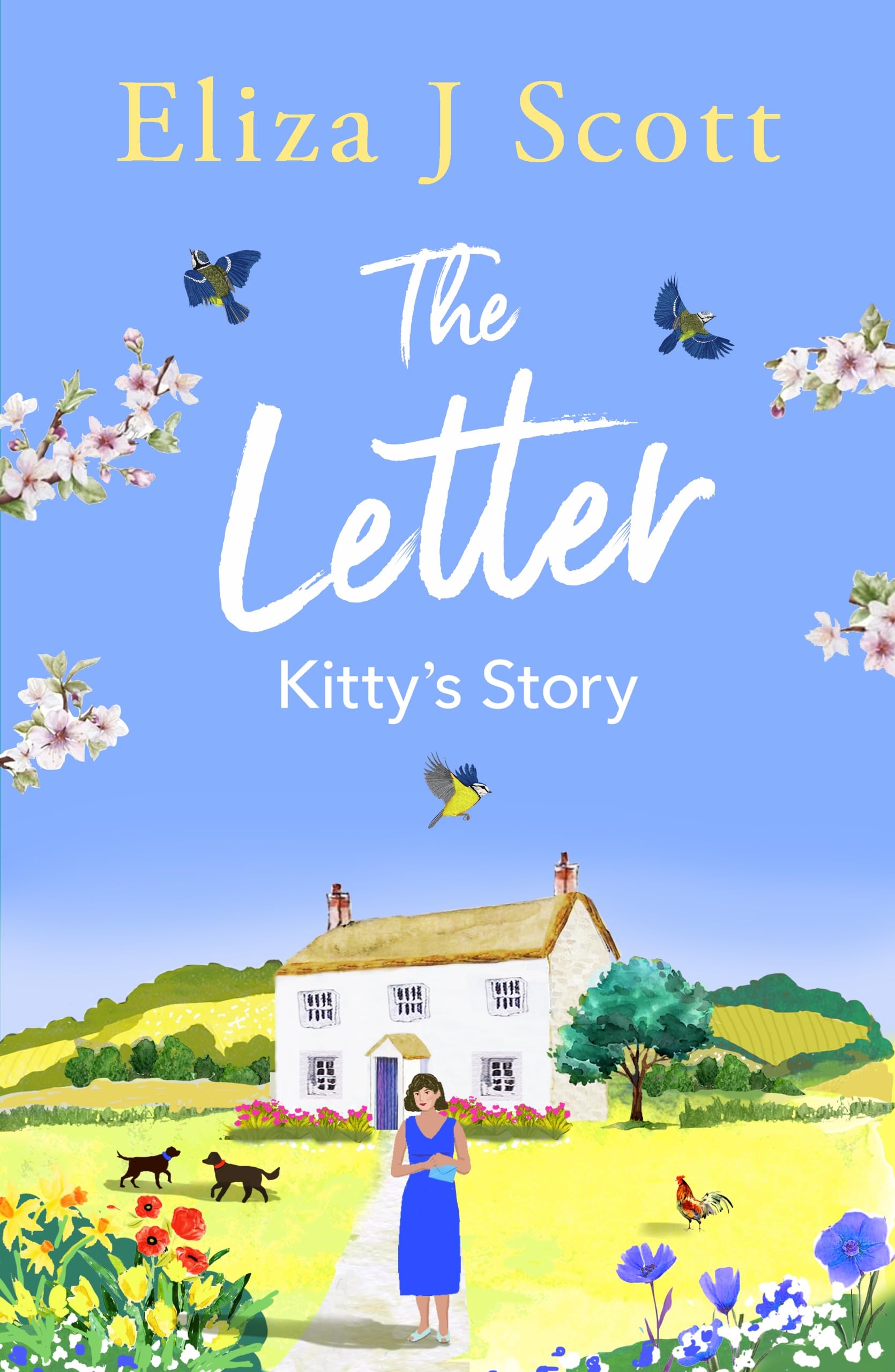 The Letter - Kitty’s Story: Kitty’s Story (Life on the Moors, Band 1)