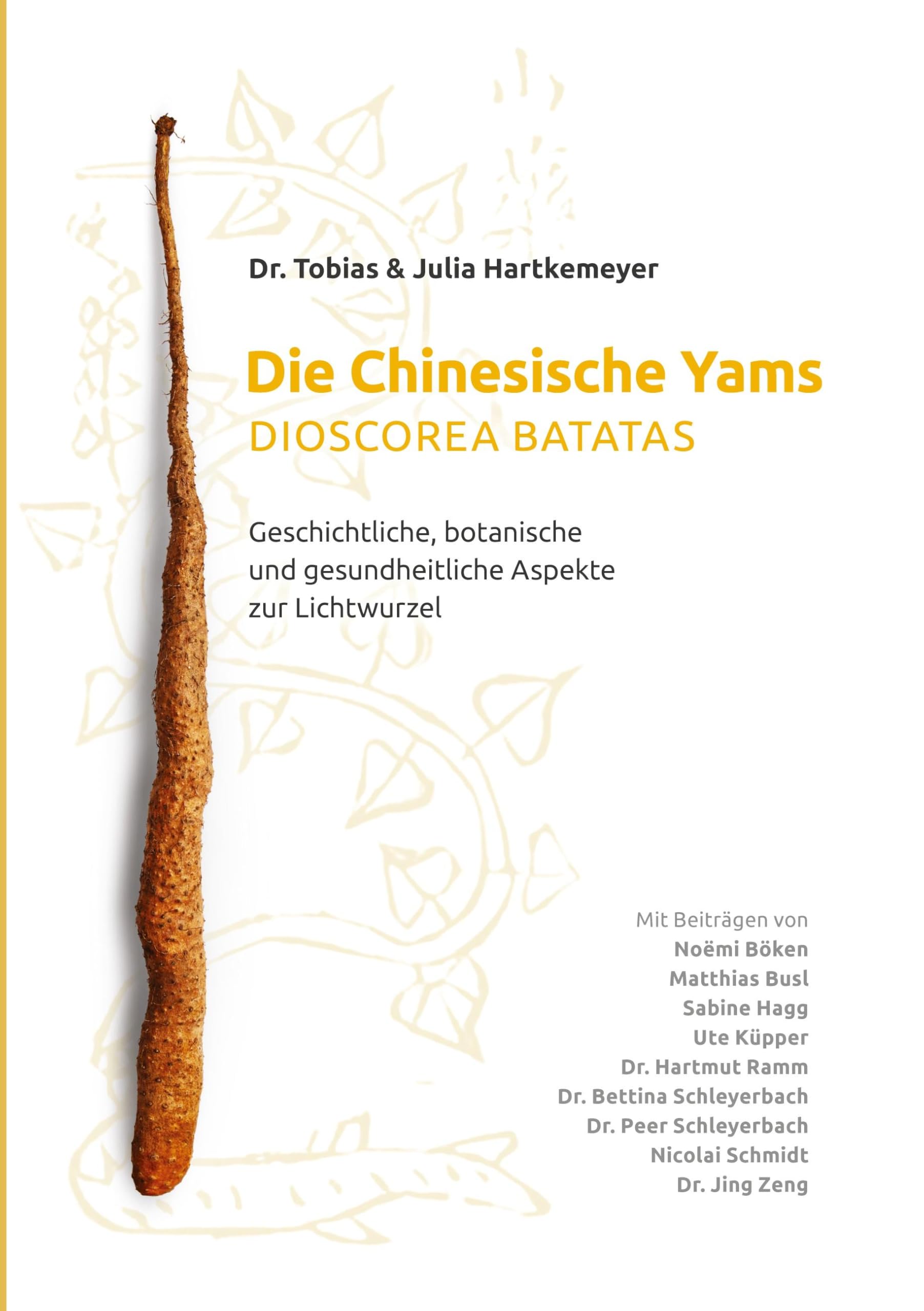 Die Chinesische Yams Dioscorea batatas: Geschichtliche, botanische und gesundheitliche Aspekte zur Lichtwurzel