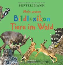 Mein erstes Bildlexikon - Tiere im Wald