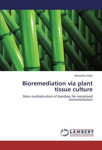 Bioremediation via plant tissue culture: Mass multiplication of bamboo for wasteland bioremediation