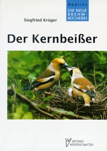 KERNBEIßER COCCOTHRAUSTES COCCOTHRAUSTE