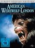 American Werewolf [Special Edition] [2 DVDs]