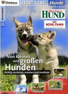 Liebe Tiere ! - Hunde: Von kleinen und großen Hunden