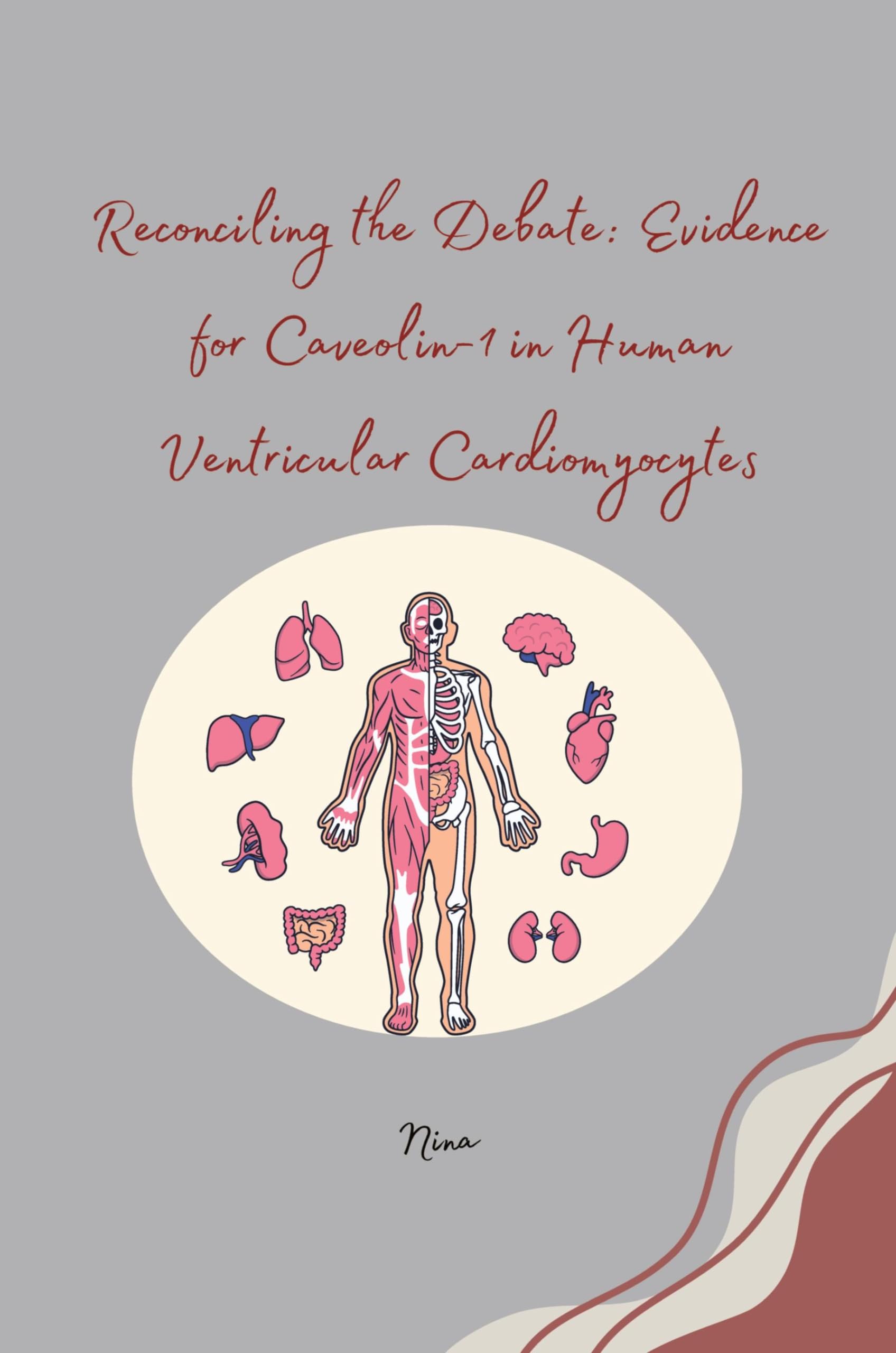 Reconciling the Debate: Evidence for Caveolin-1 in Human Ventricular Cardiomyocytes