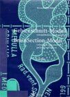 Gehirnschnitt-Modell/Brain Section Model: mit ausführlicher Bauanleitung / including a comprehensive guide to construction