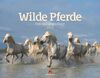 Wilde Pferde Kalender 2023, Wandkalender im Querformat (54x42 cm) - Tierkalender / Pferdekalender: Frei und ungezähmt