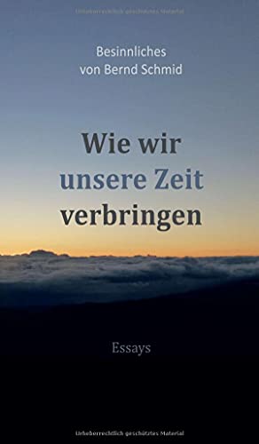 Wie wir unsere Zeit verbringen: Besinnliches von Bernd Schmid - Essays