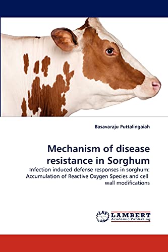Mechanism of disease resistance in Sorghum: Infection induced defense responses in sorghum: Accumulation of Reactive Oxygen Species and cell wall modifications