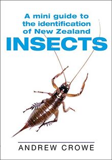 A Mini Guide to the Identification of New Zealand Insects