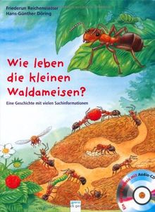 Wie leben die kleinen Waldameisen?: Eine Geschichte mit vielen Sachinformationen