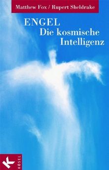 Engel - die kosmische Intelligenz