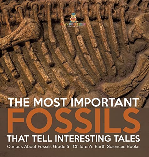 The Most Important Fossils That Tell Interesting Tales Curious About Fossils Grade 5 Children's Earth Sciences Books