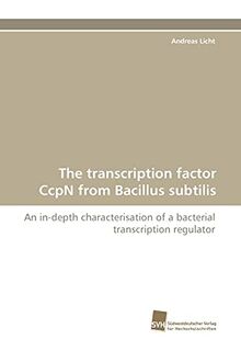 The transcription factor CcpN from Bacillus subtilis: An in-depth characterisation of a bacterial transcription regulator