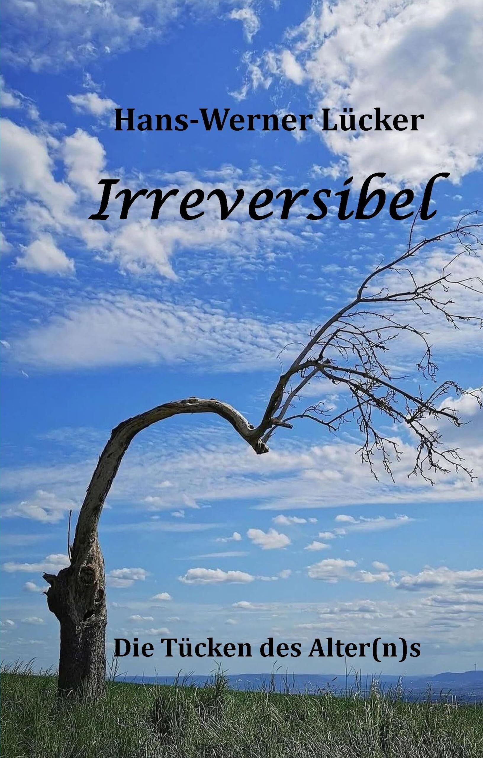 Irreversibel