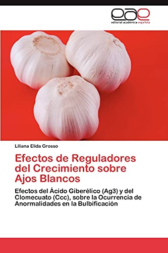 Efectos de Reguladores del Crecimiento sobre Ajos Blancos: Efectos del Ácido Giberélico (Ag3) y del Clomecuato (Ccc), sobre la Ocurrencia de Anormalidades en la Bulbificación