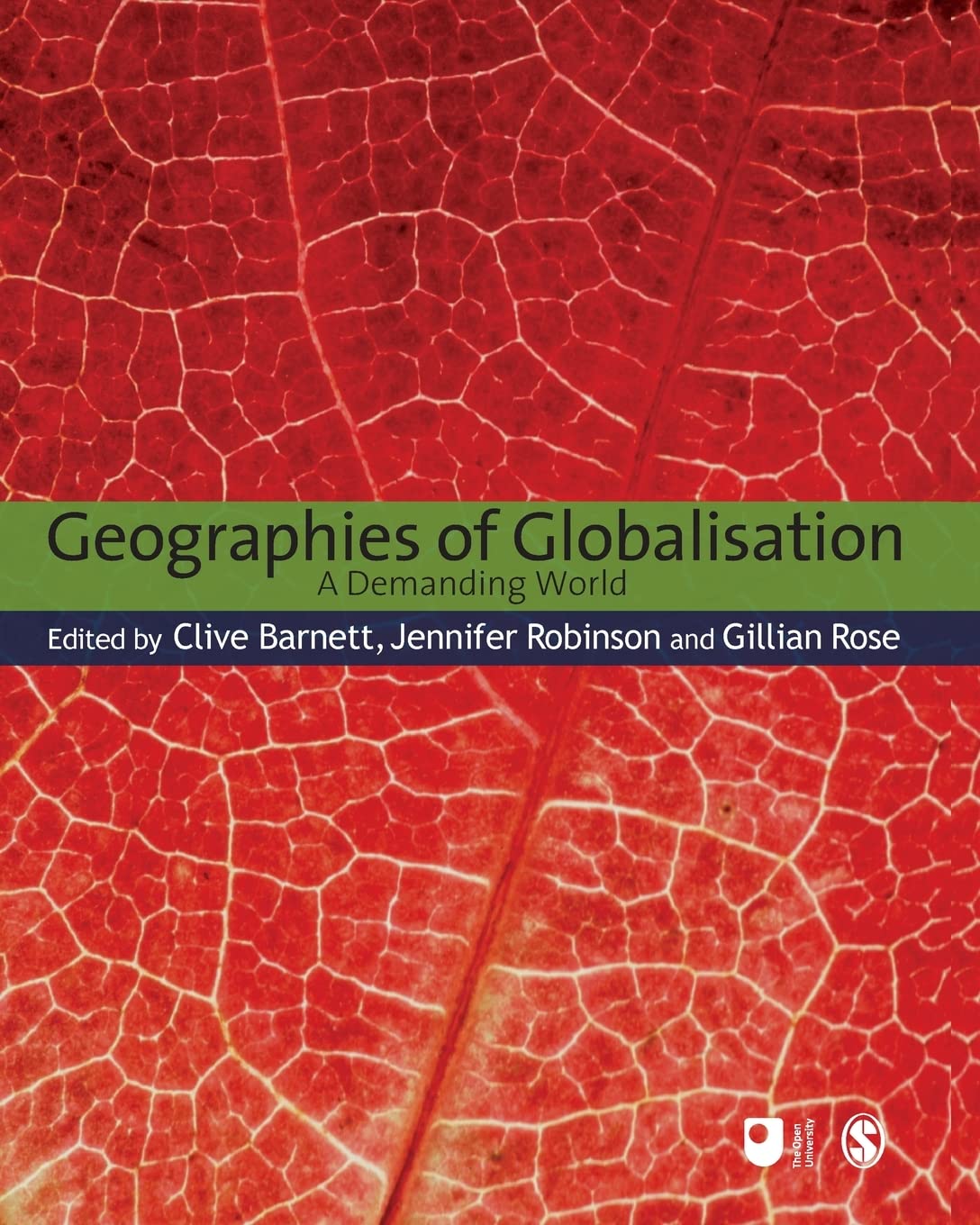 Geographies of Globalisation: A Demanding World (Published in Association with the Open University)