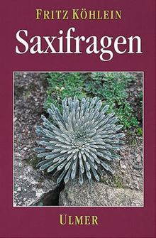 Saxifragen. Und andere Steinbrechgewächse