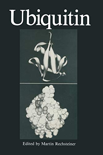 Ubiquitin
