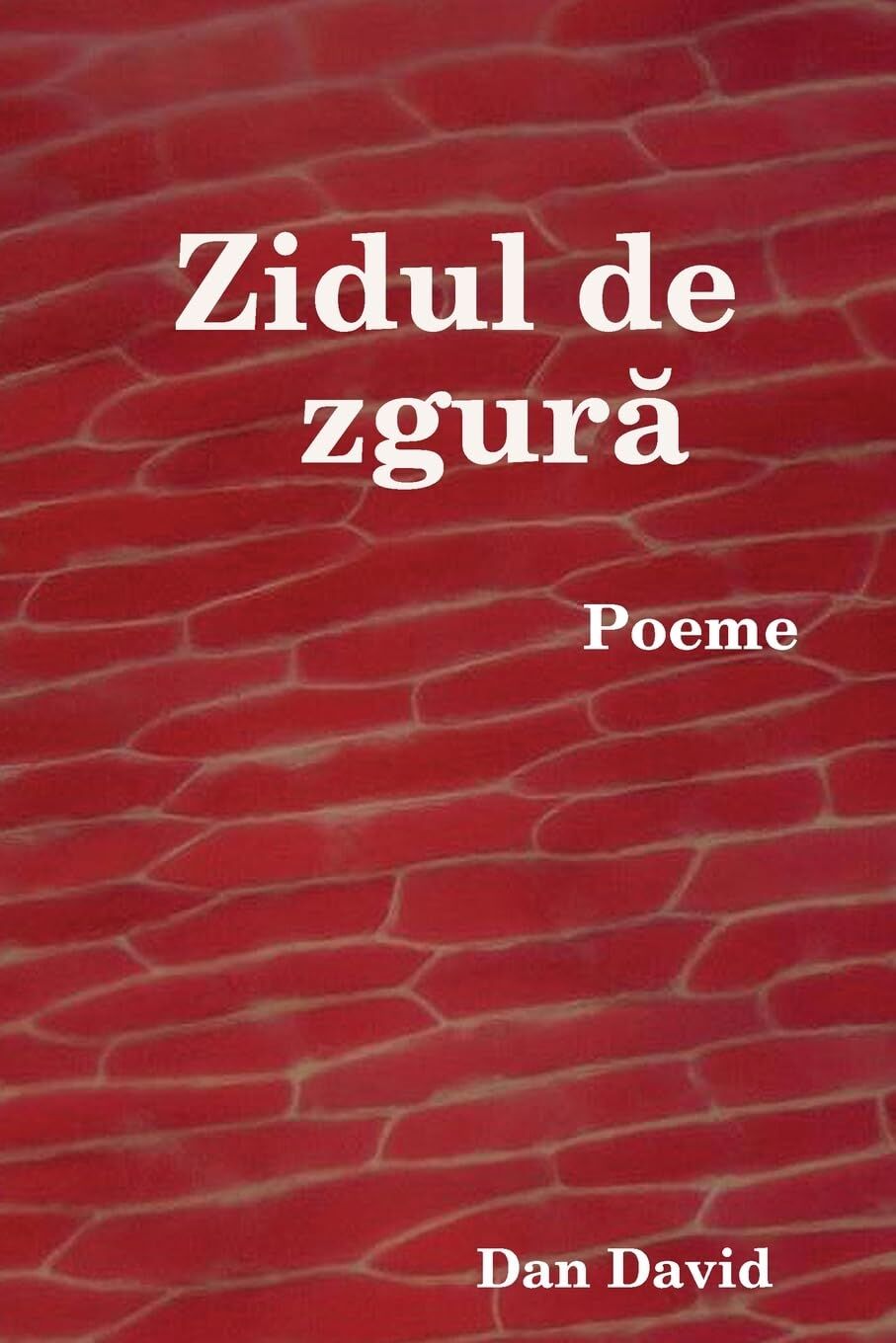 Zidul de zgur¿