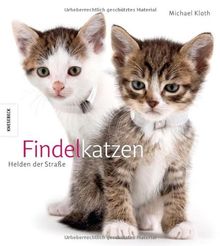 Findelkatzen: Helden der Straße. Ein Katzen - Buch