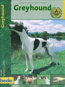 Greyhound, Praxisratgeber