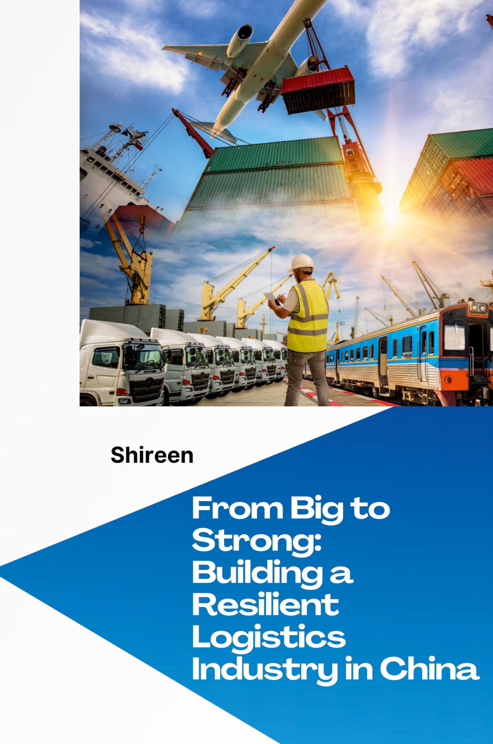 China's Logistics Boom: Securing Success with Risk Management: DE