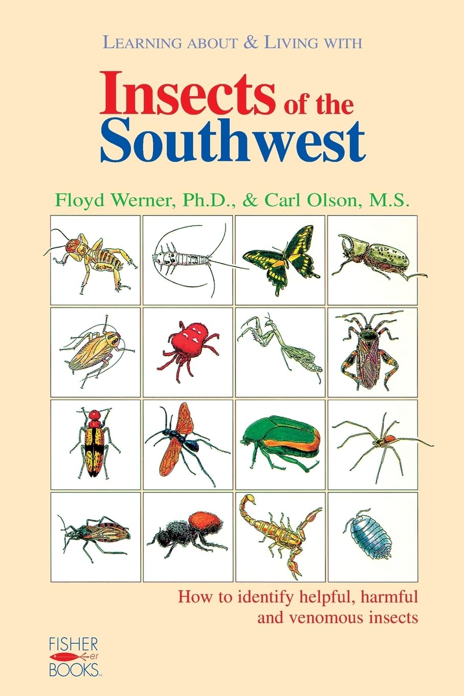 Insects of the Southwest