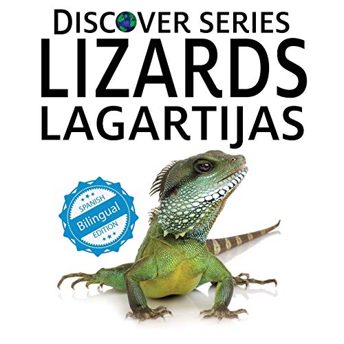 Lizards / Lagartijas (Xist Kids Bilingual Spanish English)