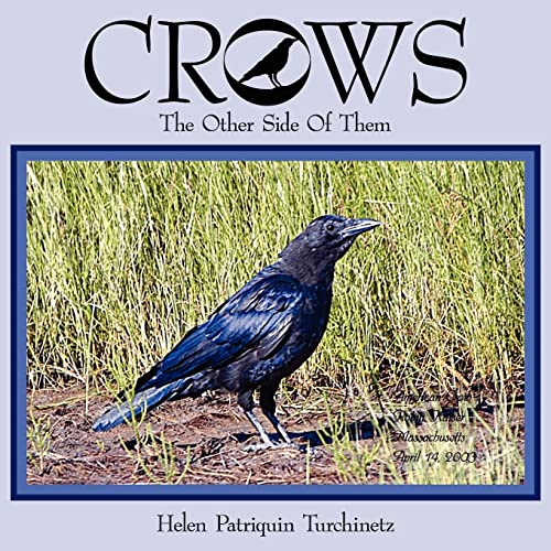 CROWS: The Other Side Of Them