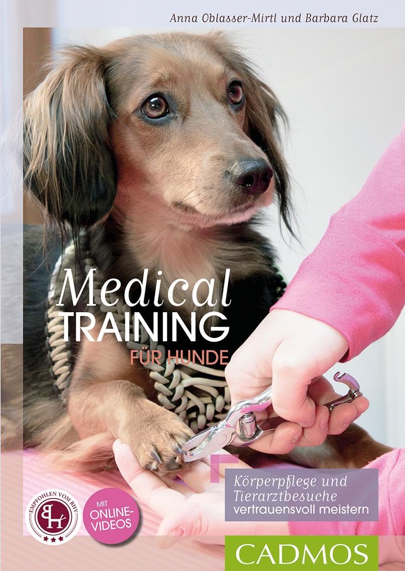 Medical Training für Hunde: Körperpflege und Tierarzt-Behandlungen vertrauensvoll meistern