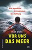 Vor uns das Meer: Drei Jugendliche. Drei Jahrzehnte. Eine Hoffnung - Über Mut und die Suche nach einem Zuhause für Jugendliche ab 12 (Reihe Hanser)