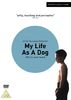 My Life As A Dog [1985] [DVD] [UK Import]