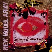 Strange Brotherhood (Digipack) von New Model Army | CD | Zustand gut