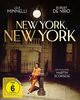 New York, New York - Special Edition (+ DVD) (+ Bonus-BR) [Blu-ray]