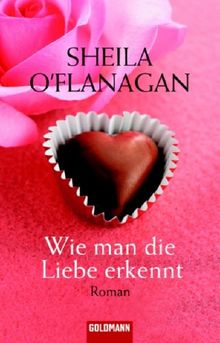 Wie man die Liebe erkennt: Roman