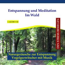 Entspannungsmusik Wald - Entspannung und Meditation Im Wald - Naturgeräusche zur Entspannung - Vogelgezwitscher mit Musik - zum Einschlafen, Träumen oder zur Meditation