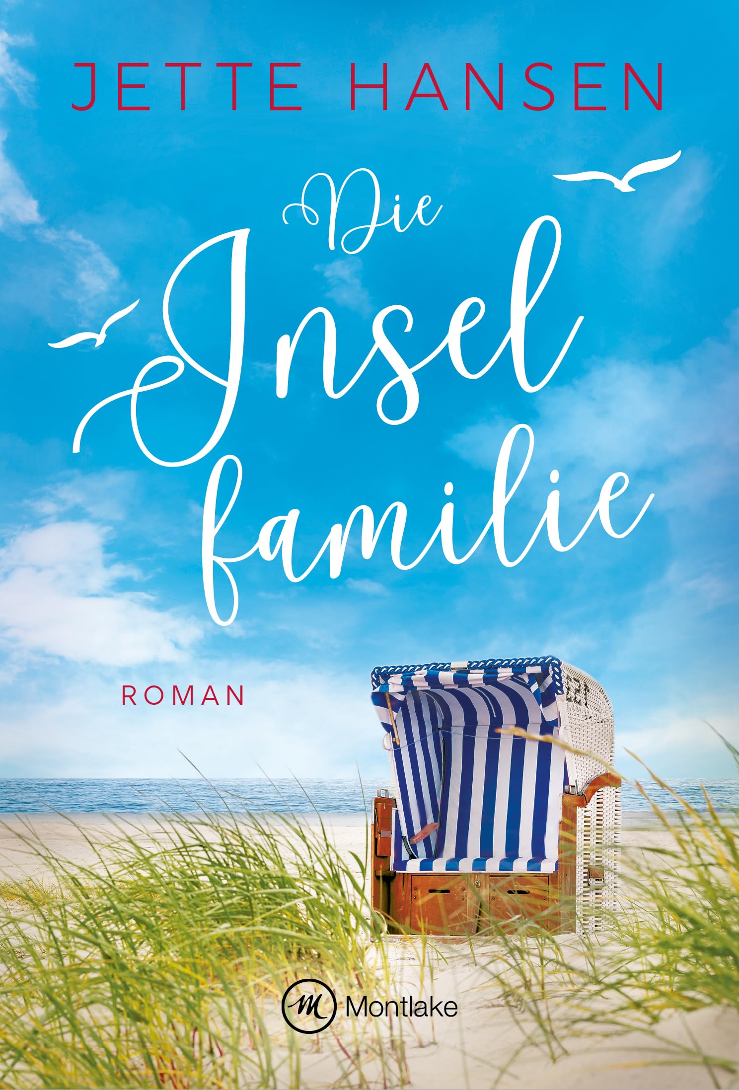 Die Inselfamilie (Amrum, Band 2)