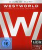 Westworld - Die komplette 1. Staffel (3 Blu-rays 4K Ultra HD) (+ 3 Blu-rays 2D)