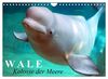 Wale - Kolosse der Meere (Wandkalender 2023 DIN A4 quer), Calvendo Monatskalender